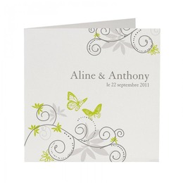 papillons merveilleux