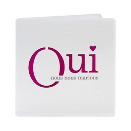 petit coeur blanc et rose 