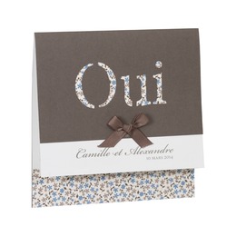 Fleurs bleues et taupes