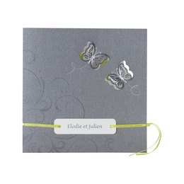 gris et vert papillons