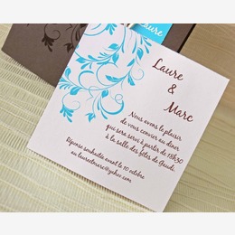 turquoise et chocolat