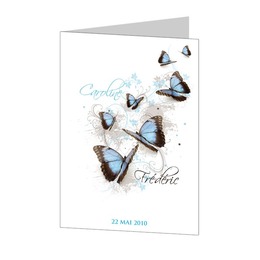 Papillons bleus