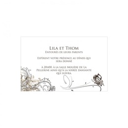 Papillons arabesques