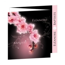 eglantine rose photo