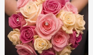 Faire Part Selection