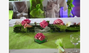 Les Nature Zen Ecolo