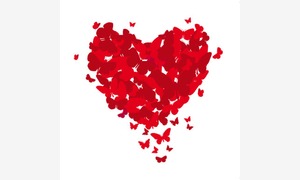 Faire part pour tous pacs